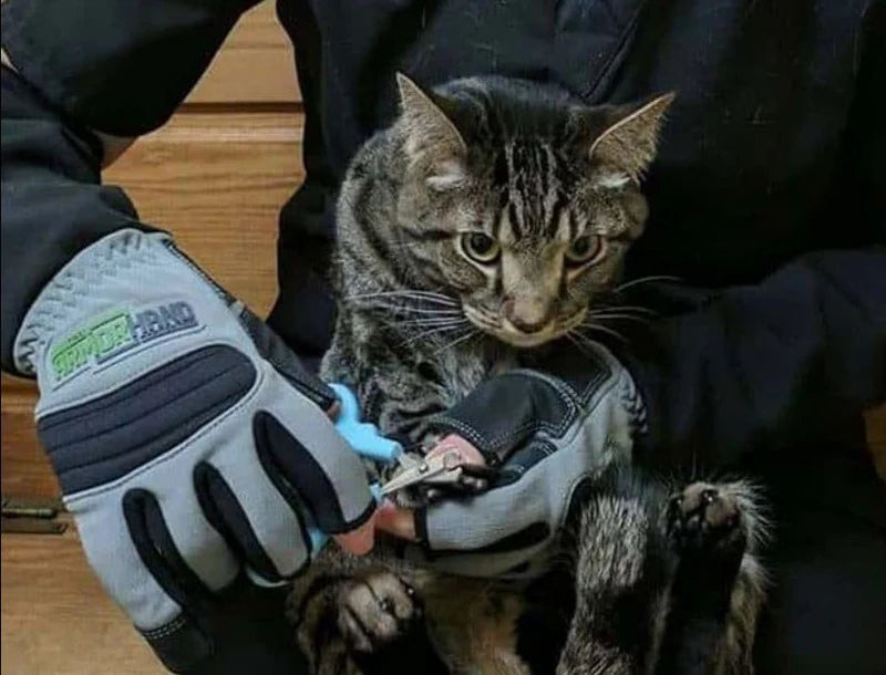 Heavy-Duty Scratch Protection Leather Gloves – Long-Sleeve Safety Mitts for Pet Handling, Gardening & Animal Training | قفازات جلدية شديدة التحمل للحماية من الخدوش – قفازات أمان بأكمام طويلة للتعامل مع الحيوانات الأليفة والبستنة